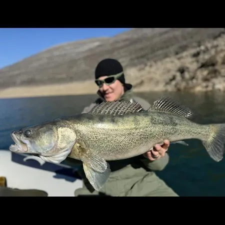 Fishing Club Trebisnjica *